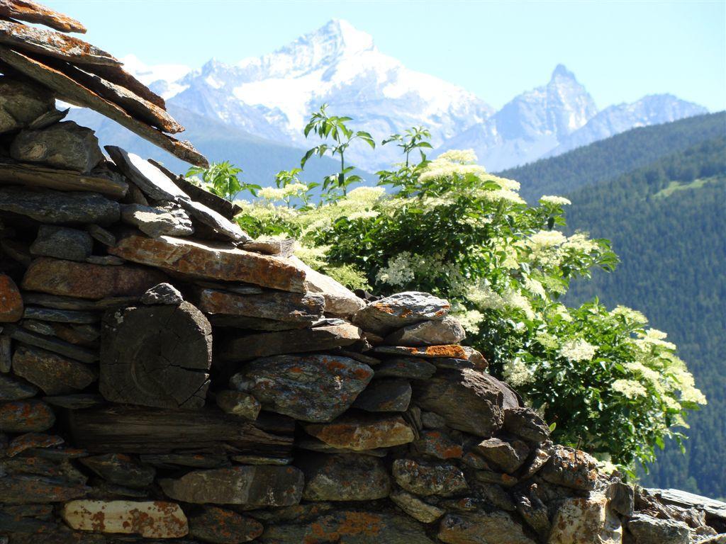 Maison De Frein Allein Εξωτερικό φωτογραφία